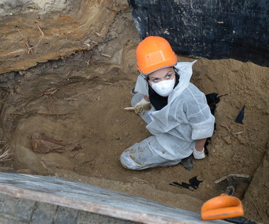 Pierwsze szkielety znalezione na warszawskim Służewie