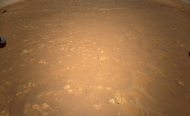 Pierwsze takie zdjęcie na Marsie. Ingenuity szykuje się do kolejnego lotu 