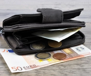 Pierwsze wrażenia po fińskim eksperymencie z dochodem gwarantowanym
