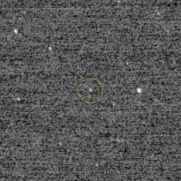 Pierwsze zdjęcie Ultima Thule wykonane z pomocą aparatury LORRI (Long Range Reconnaissance Imager) sondy New Horizons /NASA/JHUAPL/SWRI /Materiały prasowe