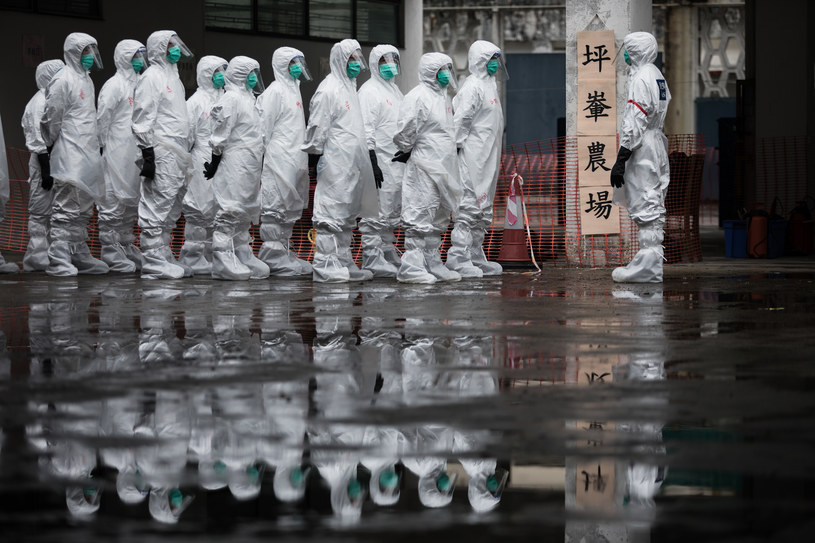Pierwszy człowiek zakażony wirusem ptasiej grypy typu H7N4 (zdjęcie ilustracyjne) /DALE de la REY /AFP