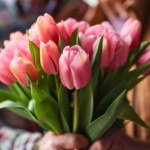 Pierwszy Dzień Babci świętowało tylko jedno miasto. Rok później cała Polska