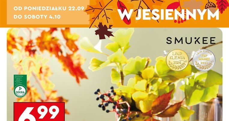 Pierwszy dzień jesieni w Biedronce! Te urocze kubki robią furorę /Biedronka /INTERIA.PL