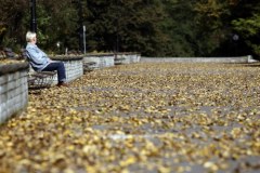 Pierwszy dzień jesieni w parku w Chorzowie