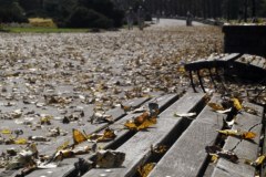 Pierwszy dzień jesieni w parku w Chorzowie