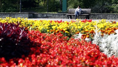 Pierwszy dzień jesieni w parku w Chorzowie