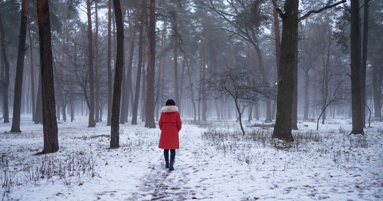 Pierwszy dzień Nowego Roku jest inny niż sylwestrowa noc. Cichy, delikatny, spokojny... /123RF/PICSEL