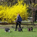 Pierwszy dzień wiosny meteorologicznej 2026 zaskoczy. 20 st. C na start, potem zimowy cios