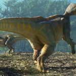 Pierwszy jurajski dinozaur w tym miejscu Europy. Dotarły aż tak daleko