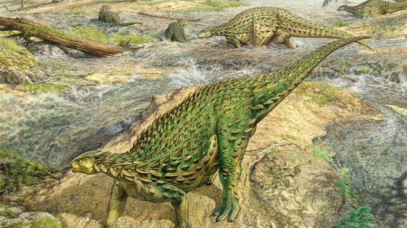 Pierwszy kompletny szkielet dinozaura zrekonstruowany i opisany po 162 latach /Geekweek