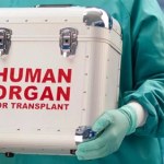 transplantacja Pierwszy na świecie przeszczep płuc między osobami z HIV