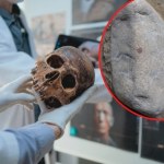 Pierwszy odcisk palca sprzed 43 tysięcy lat. Jego twórcą nie był homo sapiens