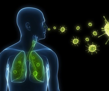 Pierwszy przypadek H3N8 wśród ludzi. Czeka nas kolejna epidemia?