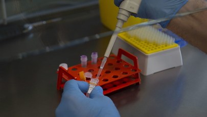 Pierwszy przypadek koronawirusa w Norwegii