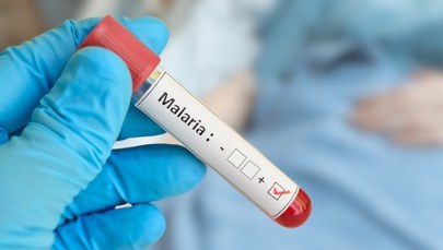 Pierwszy przypadek malarii w powiecie mławskim