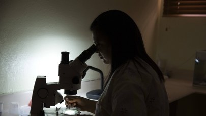 Pierwszy przypadek zakażenia wirusem Zika w Rosji