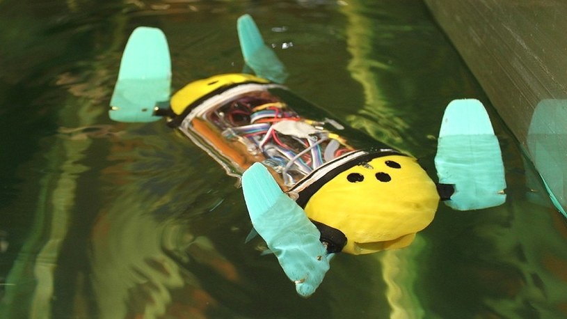Pierwszy robotyczny żółw morski będzie nadzorował hodowle ryb (film) /Geekweek