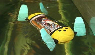Pierwszy robotyczny żółw morski będzie nadzorował hodowle ryb (film)
