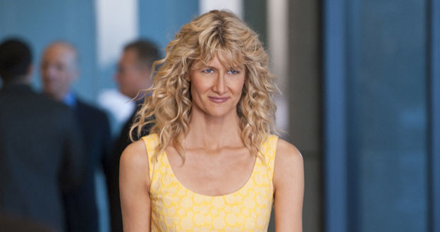 Pierwszy sezon serialu „Iluminacja” już na DVD. W roli głównej Laura Dern /materiały dystrybutora