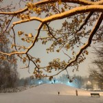 Pierwszy śnieg w 2025 już wkrótce? Sprawdzamy prognozy