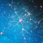 Pierwszy sztuczny neuron, który potrafi "rozmawiać" z tymi biologicznymi