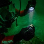 Pierwszy taki artefakt w historii. Znaleźli pierścień z cudem świata