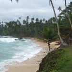 Pierwszy taki przypadek w historii. Cały kraj rezerwatem przyrody