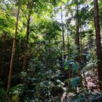 Pierwszy taki przypadek. Zamiast nas chronić, szkodzą