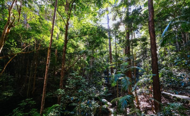 Pierwszy taki przypadek. Zamiast nas chronić, szkodzą