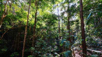 Pierwszy taki przypadek. Zamiast nas chronić, szkodzą