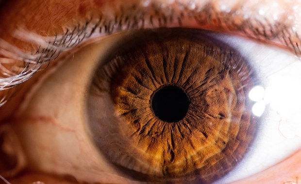 Pierwszy w historii przeszczep całego ludzkiego oka