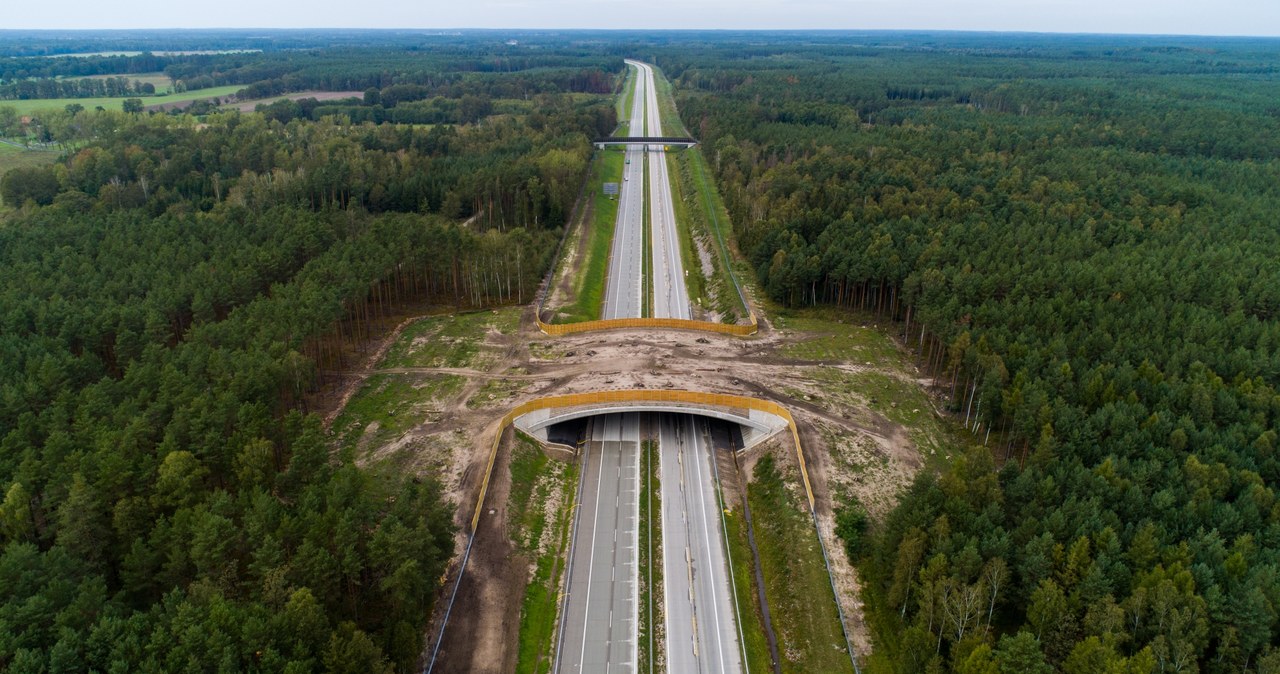 Pierwszy z czterech odcinków A18 jest gotowy /materiały prasowe