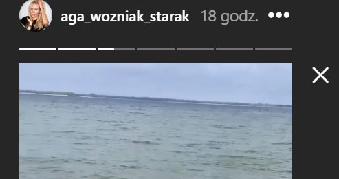 Pies Agnieszki Woźniak-Starak bawiący się nad jeziorem /Instagram/@aga_wozniak_starak /Instagram