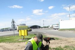 Pies Falco wypłoszy ptaki z łódzkiego lotniska