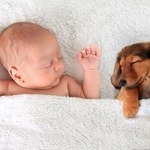 Pies i dziecko: Jak budować właściwą relację?