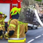 Pies i lis w pięciometrowej studni. "Przytulone, jakby się wspierały"