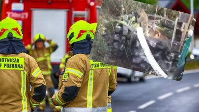 Pies i lis w pięciometrowej studni. "Przytulone, jakby się wspierały"