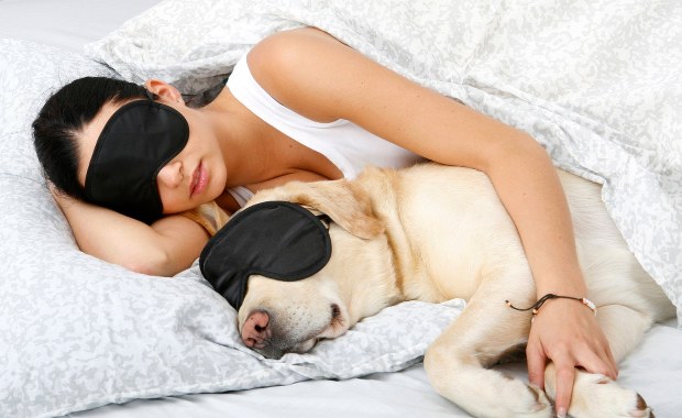 Pies leży pogrzebany... w sypialni