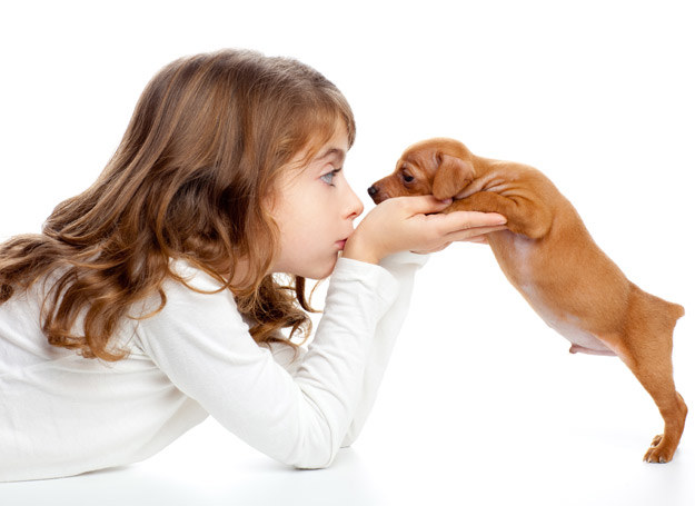 Pies może pomóc w wychowaniu twojego dziecka. Sprawdź, w jaki sposób! /123RF/PICSEL