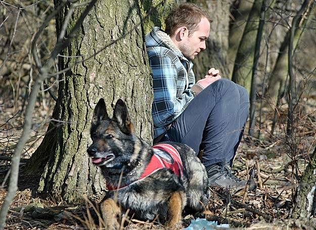 Pies odnalazł zaginionego. Waruje w oczekiwaniu na ratownika.../fot. Anna Kulpa /
