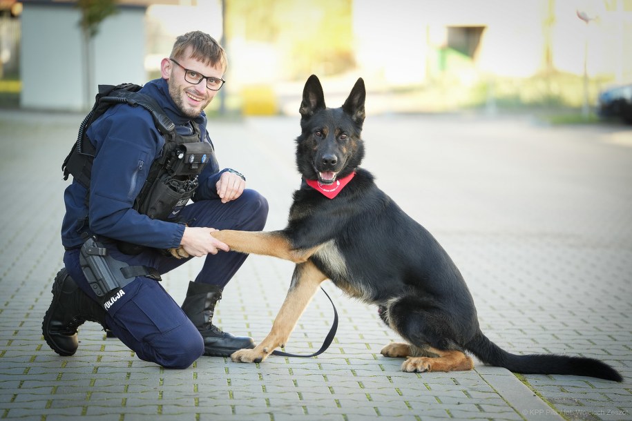 Pies policyjny Niko wraz z opiekunem /KPP Piła /Policja