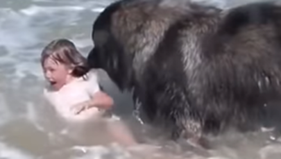 Pies postanowił uratować małą dziewczynkę. To nagranie podbiło serca internautów!