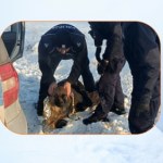 Pies przymarzł do pobocza. Policjanci skuli lód i uratowali mu życie