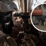 Pies Rambo to "maskotka" ukraińskich żołnierzy. "Chroni nas"