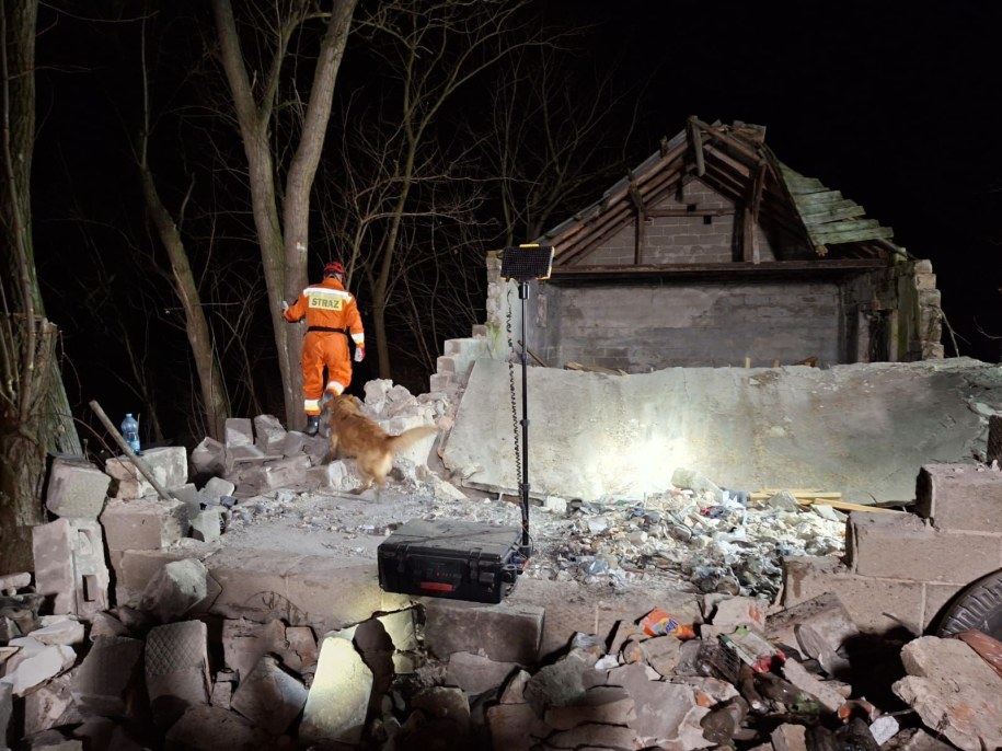 Pies ratowniczy przeszukujący gruzowisko w Besiekierzu Nawojowym /Komenda Powiatowa Państwowej Straży Pożarnej w Zgierzu /