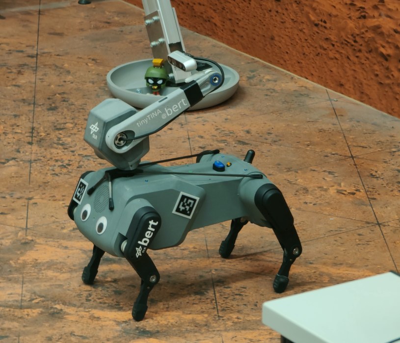 Pies-robot Bert /ESA /domena publiczna