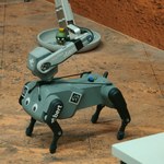 Pies-robot kontrolowany przez osobę spoza Ziemi. Przełomowy eksperyment 