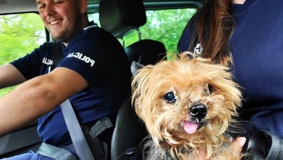 Pies sam w domu. Szczekał w dzień i w nocy  