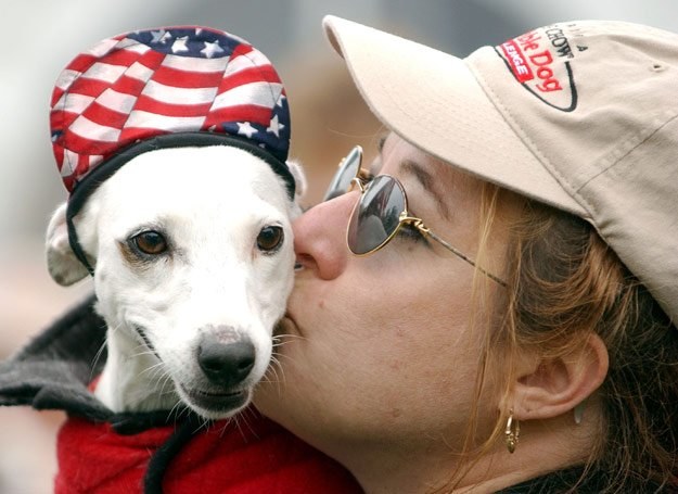 Pies to najlepszy przyjaciel - warto go znać /Getty Images/Flash Press Media