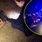 akcja ratunkowa Pomoc